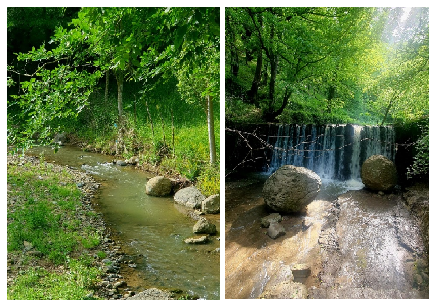 Two side-by-side views of a forest stream in the Lerik region: a shallow rocky creek beneath dense green trees and a small waterfall flowing over dark rock into a pool with large boulders.
