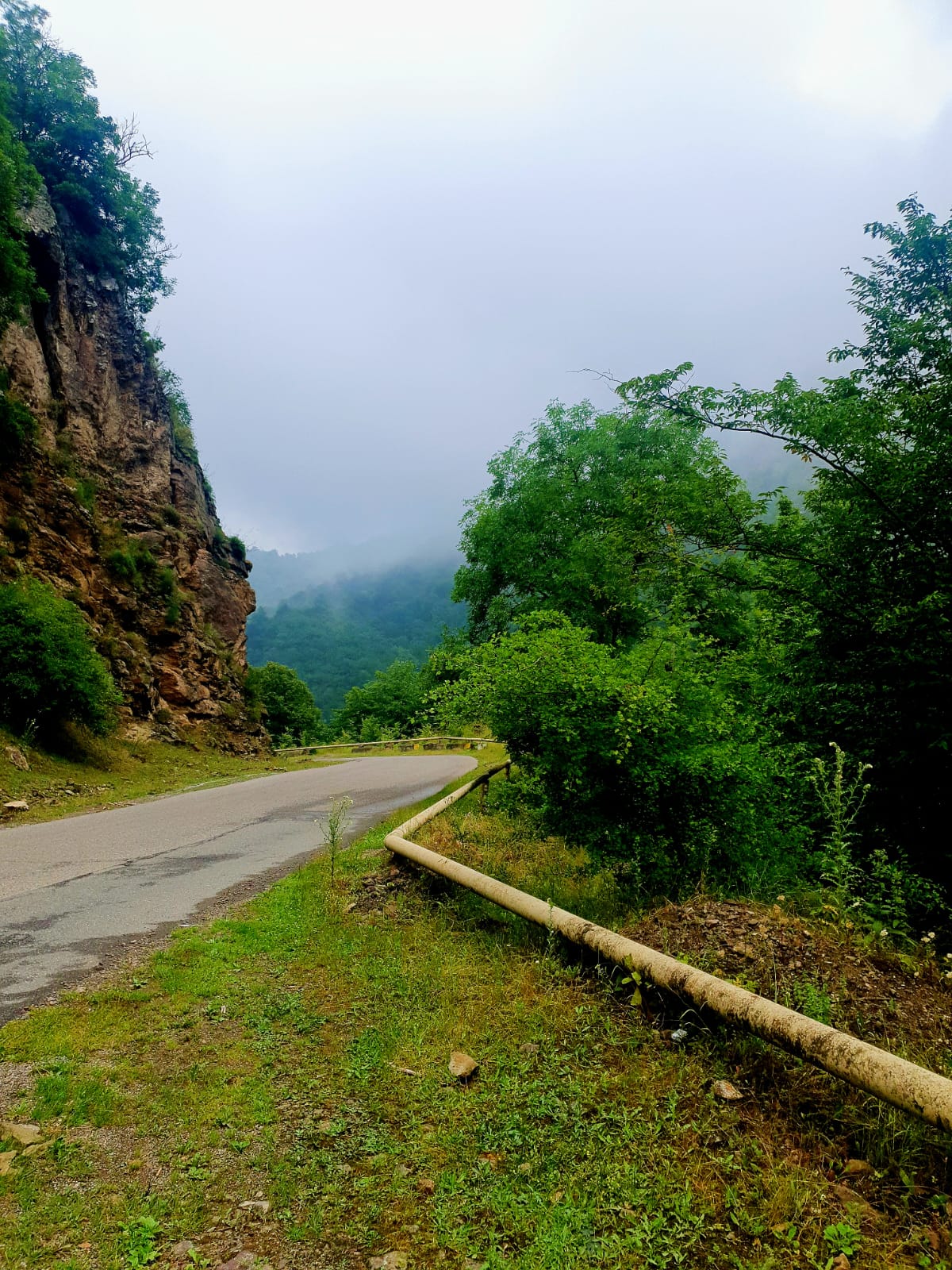 Winding mountain road through Greater Caucasus with steep rocky cliff face on left covered in moss and vegetation, lush green trees, metal guardrail along right edge, misty fog-covered forested mountains in background, overcast sky