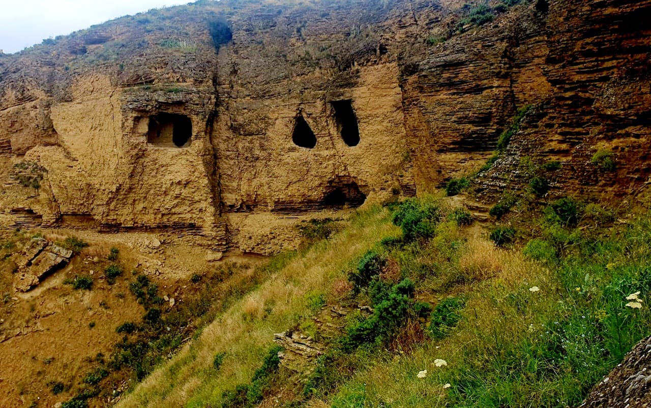 Ancient shepherd caves carved into golden-brown sandstone cliff face near Shamakhi, showing multiple dark cave openings at different levels in layered sedimentary rock, with green grass and vegetation in foreground and forested hillside visible above cliff