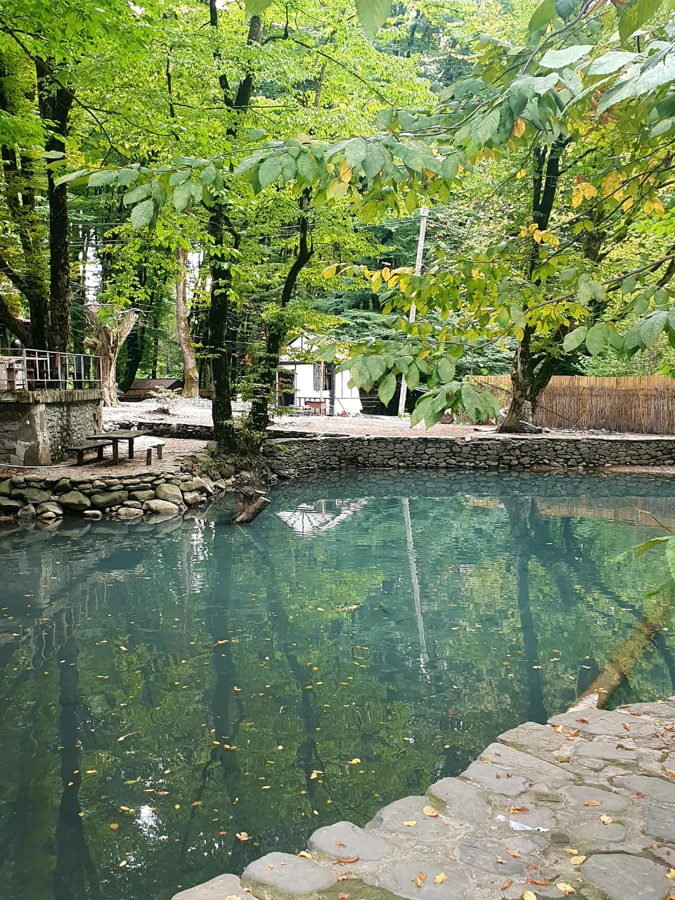 A clear, turquoise natural pool bordered by rough stone, with a wooden walkway and dense green trees surrounding it.